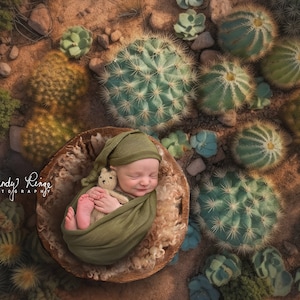 Puede incluir: Un bebé recién nacido duerme plácidamente en un cuenco de madera rodeado de varios cactus y suculentas. El bebé lleva un gorro de punto verde y está envuelto en una manta verde. El bebé sostiene un pequeño animal de peluche.