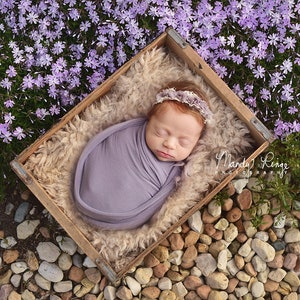 Newborn Digital Backdrop, Purple Spring Phlox Flowers and Stones with Crate