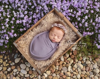 Newborn Digital Backdrop, Purple Spring Phlox Flowers and Stones with Crate