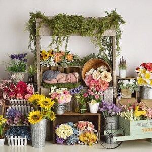 Newborn Digital Backdrop, Spring Flower Stand