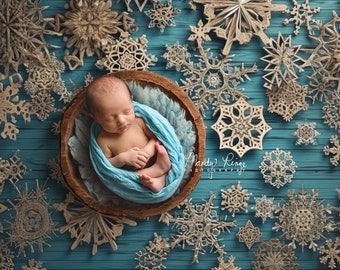 Newborn Digital Backdrop, Winter Digital Background, Snow, Snowflakes, Bowl