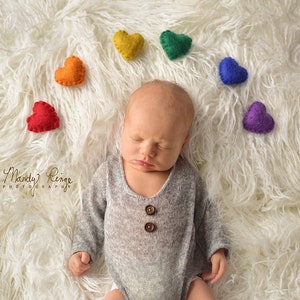 Newborn Digital Backdrop, Felt Rainbow Hearts with White Fur