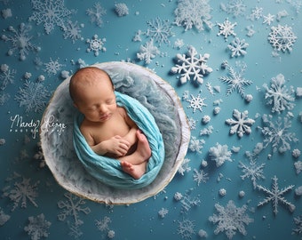 Newborn Digital Backdrop, Winter Digital Background, Snow, Snowflakes, Bowl for Composite