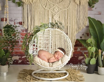 Newborn Digital Backdrop, Boho Macrame Wall Hanging, Hanging Basket