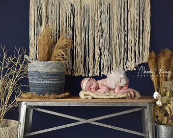 Newborn Digital Backdrop, Modern Boho Macrame Wall Hanging, Navy and Gold