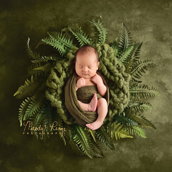 Newborn Digital Backdrop, Nature Digital Background, Fern Wreath Nest