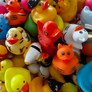 SHIPS FAST! Cheap Bulk rubber duck, Ducking Jeep gifts duck accessories jeep wrangler accessories jeep duck jeep gift jeep wave cute ducks