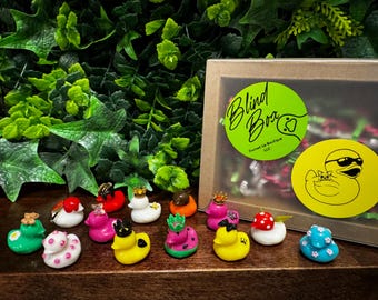 FAST SHIPPING!Mystery box duck gift cruise Duck accessory jeep wrangler accessories jeep duck jeep accessories jeep gift jeep wave blind box