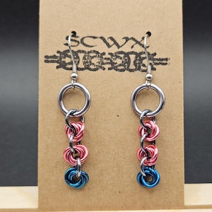 May include: A pair of dangle earrings with a silver hook, a silver ring, and a chain of pink and blue metal rings. The earrings are displayed on a brown card with the text "SCWX" printed on it.