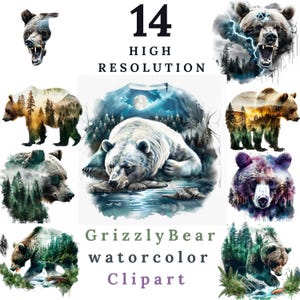 14 grizzlybeer-clipart | Majestueuze berenkunst | Aquarel wildernis beer, png PNGEgg | Digitale download | Op de natuur geïnspireerde beerillustraties