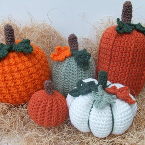May include: Five crocheted pumpkins in various sizes and colors, including orange, white, and green. The pumpkins are sitting on a bed of brown straw.