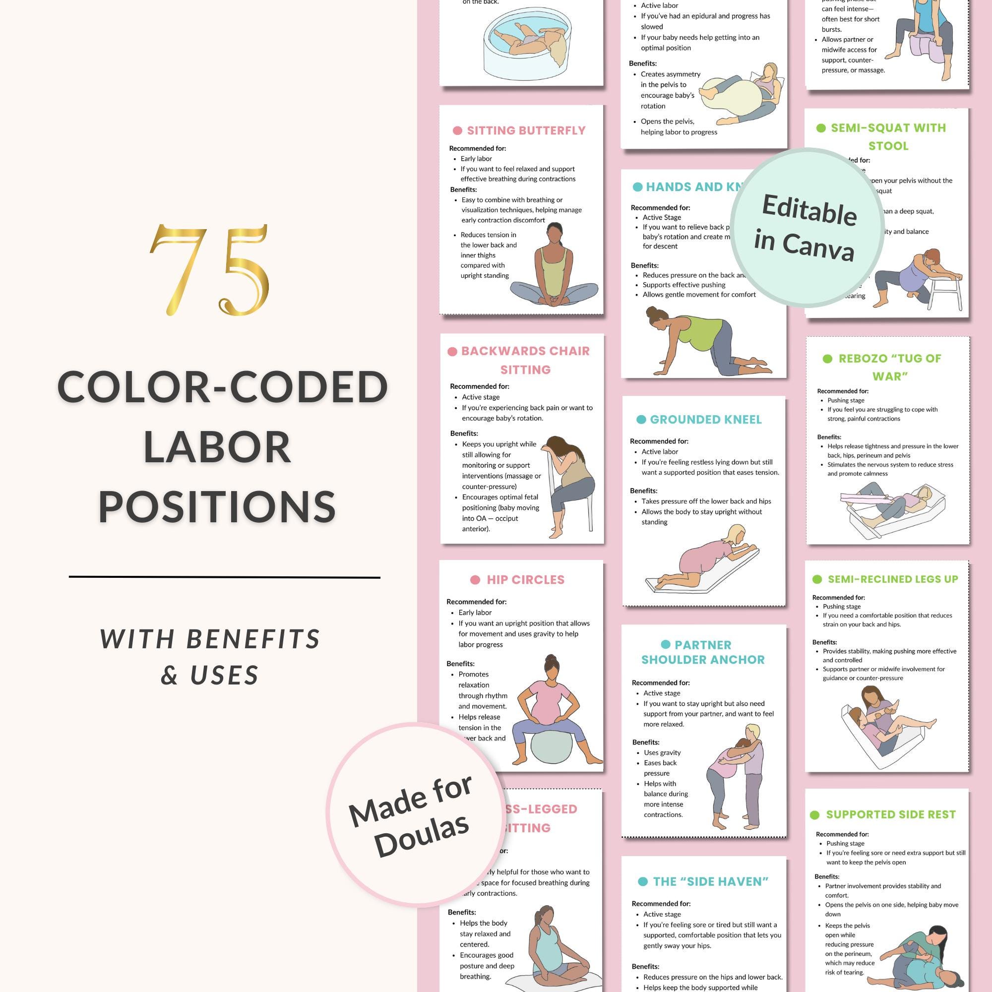 75 Labor Positions Flashcards, Printable & Editable Canva Templates for ...