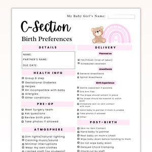 Modèle de plan de naissance rose pastel pour césarienne, plan de naissance de future maman pour petite fille, préférences de Word Canva pour césarienne, plan de naissance visuel