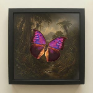 Può includere: Una cornice quadrata nera contenente la stampa di una farfalla dai colori vivaci viola e arancione, centrata su un'illustrazione scura e dettagliata di una fitta giungla tropicale con fogliame verde lussureggiante e alte palme.