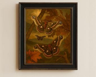 蛾のプリント、蛾のアートプリント、蛾の羽、蛾の本のページ、蛾の絵