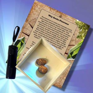 Kit de descubrimiento de yooperlita: linterna de luz ultravioleta, minerales de yooperlita y tarjeta con información sobre fluorescencia.