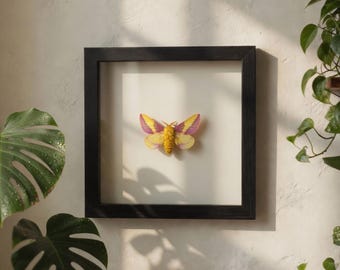Dryocampa rubicunda – Polilla rosada del arce REAL, ejemplar montado - ShadowBox