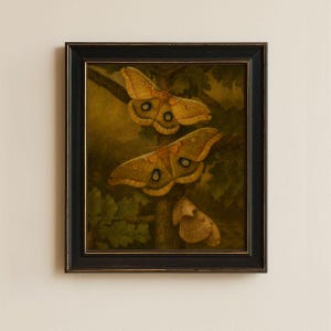 Framed Polyphemus Moth Print  • Vintage Moth Wall Decor • Silkmoth Insect Illustration • 8x10