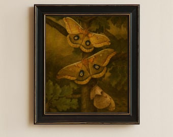 Puede incluir: Una obra de arte enmarcada que presenta una pintura detallada de tres polillas posadas en ramas de árboles. Las polillas tienen alas amarillas y marrones con marcas oscuras en forma de ojo. La obra de arte está sobre un fondo verde oscuro y enmarcada en un marco de madera negro.