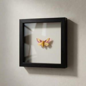 Könnte beinhalten: Ein gerahmtes Kunstwerk mit einem Schmetterling mit gelben und rosa Flügeln. Der Schmetterling ist auf einem weißen Hintergrund in einem schwarzen quadratischen Rahmen zentriert. Das Kunstwerk ist an einer neutralfarbenen Wand befestigt.