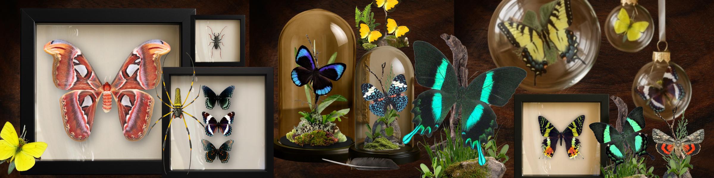 InstarInnovationsCo - Etsy