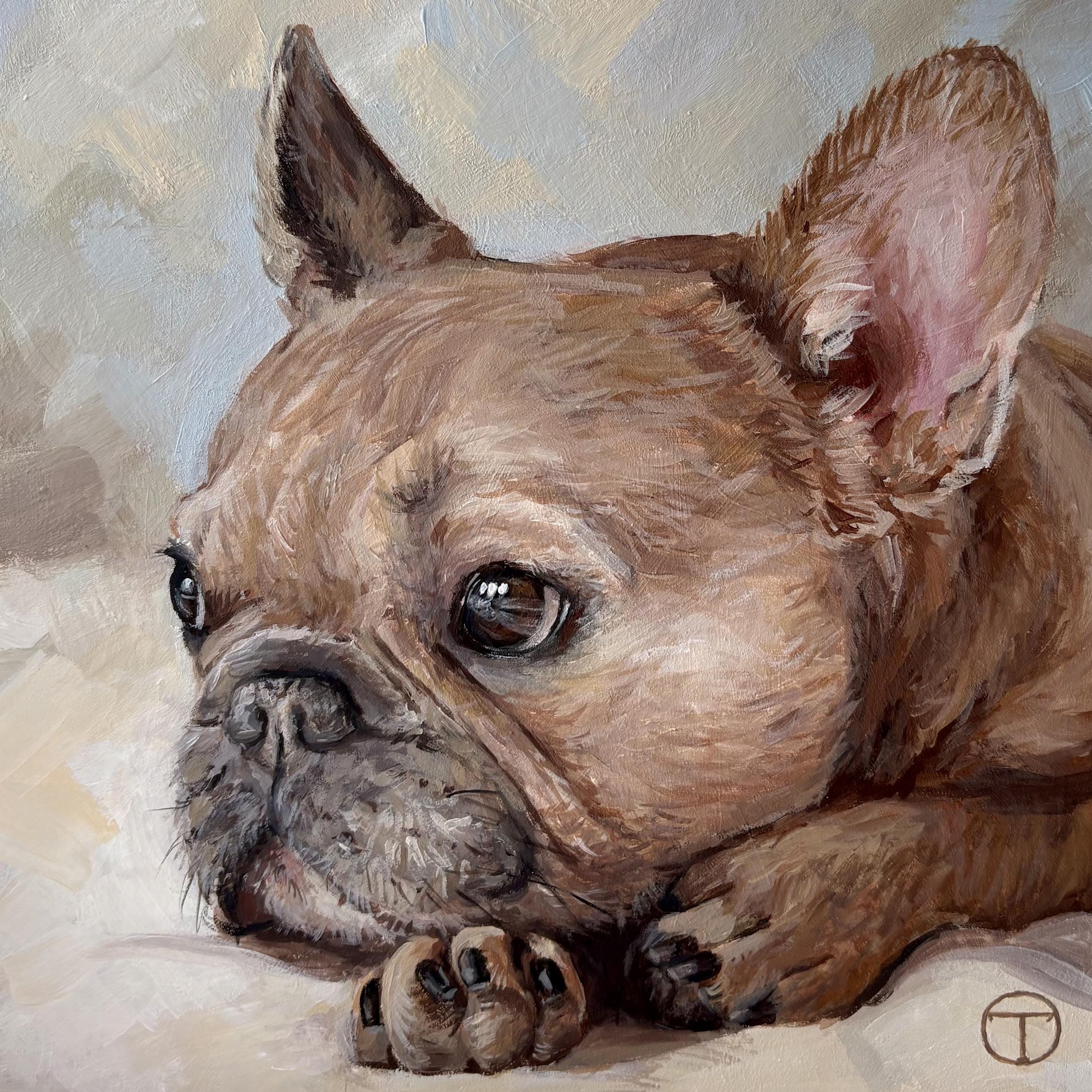 アクリル画  フレンチブルドック 犬 動物 アクリル画 フレンチブルドッグ 犬 動物