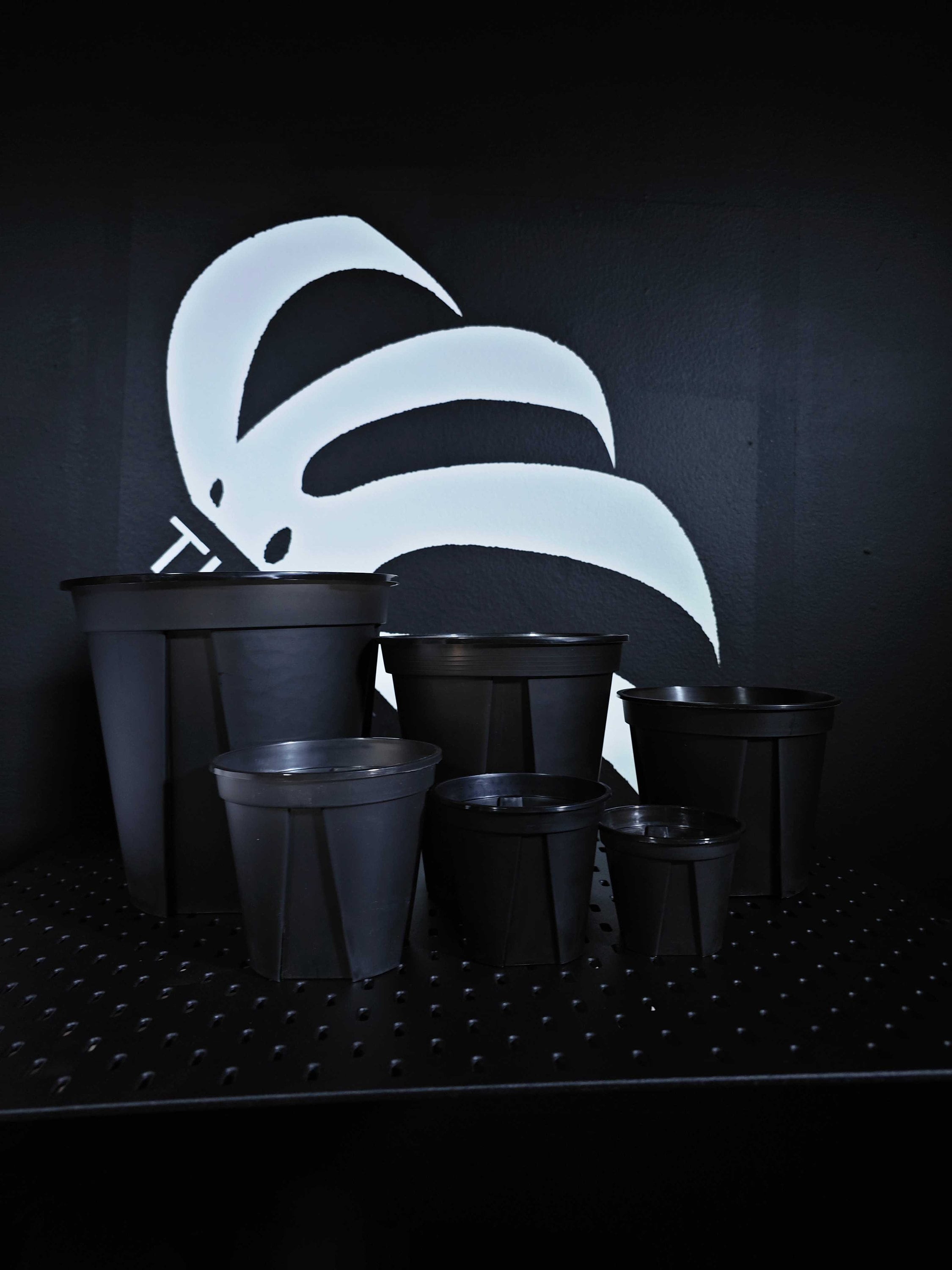 Plastic Plant Pots 8 Inch - Etsy