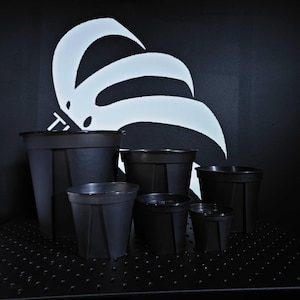 Black Clear Plastic Pot (3.9/4.7/5.9/7.0/8.2/10.6 Inch) *Minimum 10 pots per order*