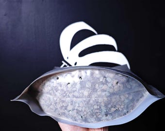 US Made PON mix for aroids ( Lava Rock, Pumice, Zeolite)