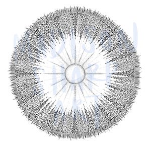May include: Circular black and white art print featuring a detailed, symmetrical design. The artwork has a central dot surrounded by radiating lines and a textured, fringed outer edge. The artist's signature is in the lower right corner.