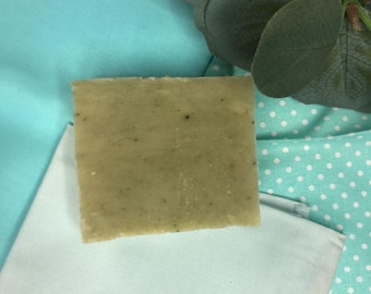 Stuk zeep van eucalyptus groene munt