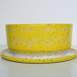 May include: A bright yellow ceramic planter with a matching saucer. The planter has a speckled finish and a white floral design around the middle. The saucer is round and has a speckled finish.
