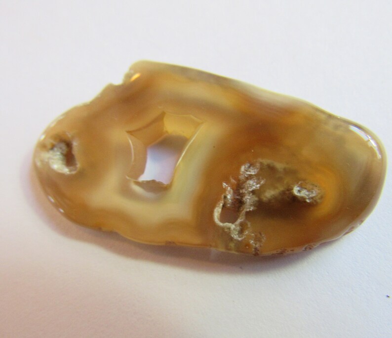 Translucent Specimen Flat Oval Translucent Rock Agatized 1 12 Inch Slice Tampa Bay Coral Britz Beads Supply Natural Hole Pendant