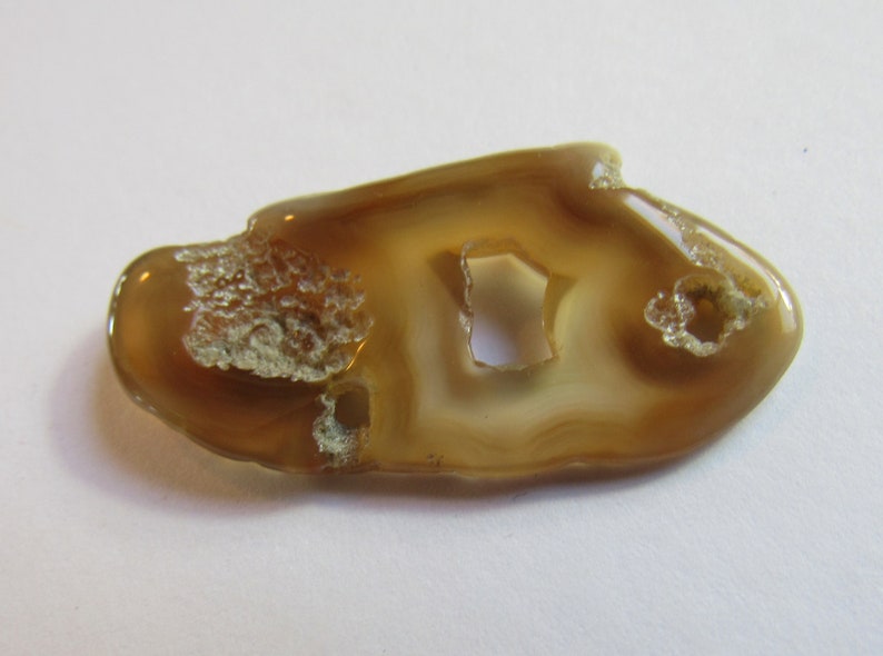 Translucent Specimen Flat Oval Translucent Rock Agatized 1 12 Inch Slice Tampa Bay Coral Britz Beads Supply Natural Hole Pendant