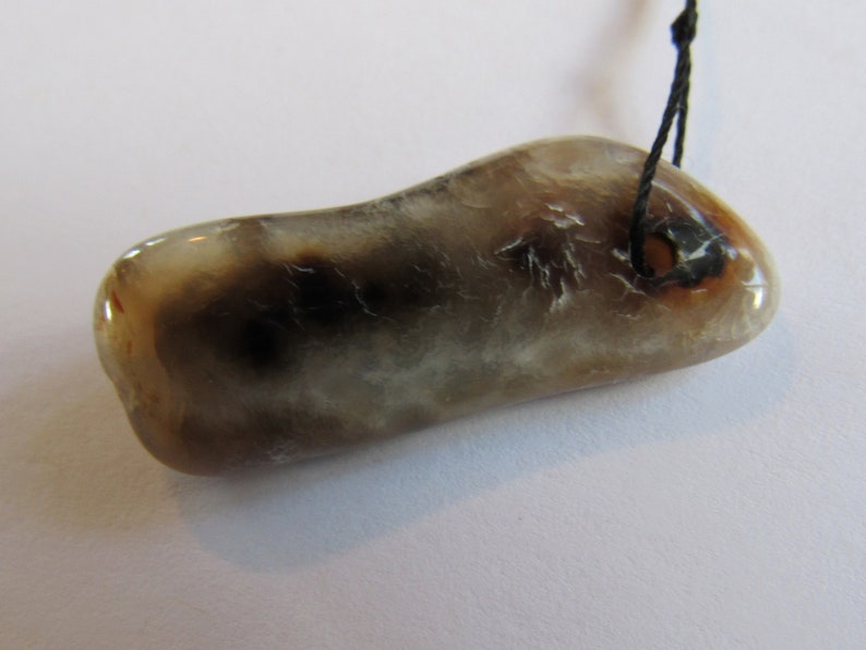 Lapidary Gray Black Rectangle Flat Drop Agatized Fossil Mineral 1 12 Inch Tampa Bay Coral White Britz Beads Supply Drilled Hole