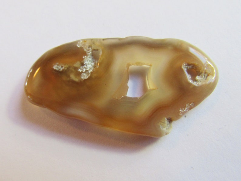Translucent Specimen Flat Oval Translucent Rock Agatized 1 12 Inch Slice Tampa Bay Coral Britz Beads Supply Natural Hole Pendant