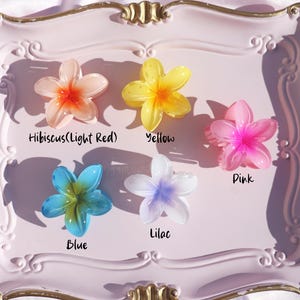 May include: Five plastic flower hair clips in a variety of colors, including light red, yellow, pink, blue, and lilac. The clips are arranged on a pink and gold tray.