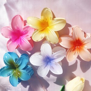 May include: Five plastic flower hair clips in various colors, including pink, yellow, orange, blue, and white. The clips are shaped like plumeria flowers.