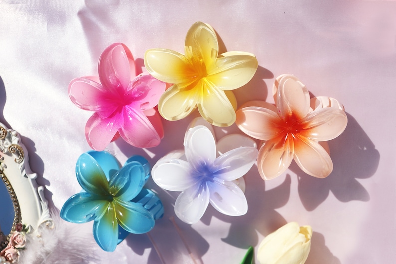 May include: Five plastic flower hair clips in various colors, including pink, yellow, orange, blue, and white. The clips are shaped like plumeria flowers.
