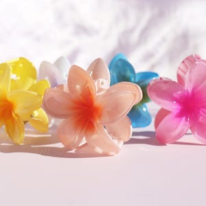 May include: Five plastic flower hair clips in various colors, including yellow, pink, white, and blue. The clips are shaped like plumeria flowers.