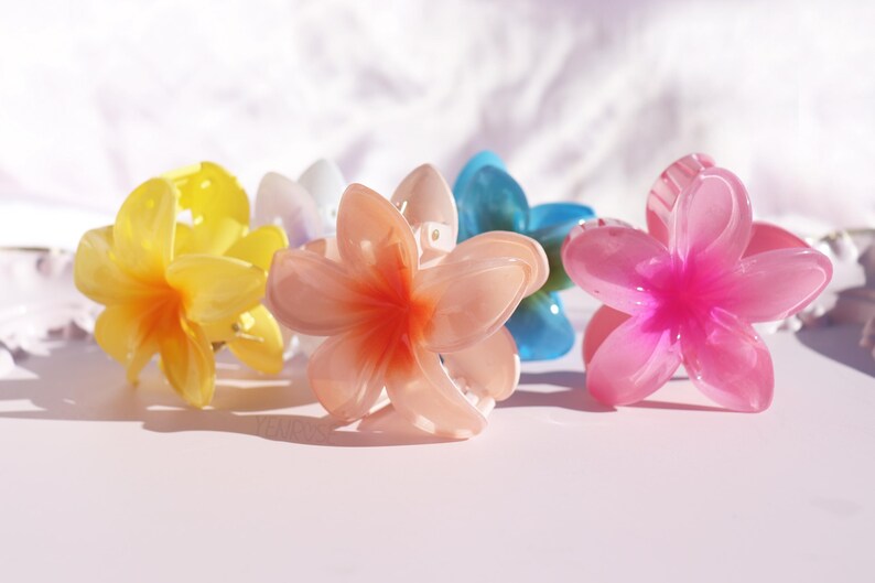 May include: Five plastic flower hair clips in various colors, including yellow, pink, white, and blue. The clips are shaped like plumeria flowers.