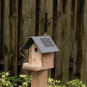 Peakmesh Birdhouse Solar Meshtastic Radio Node RAK Wireless Module ...