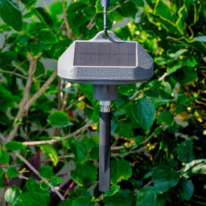 May include: A gray solar-powered garden light featuring a rectangular solar panel on top of a textured housing, connected to a slender, cylindrical black stake. The device is suspended by a black cord, showcasing a functional design for outdoor use.