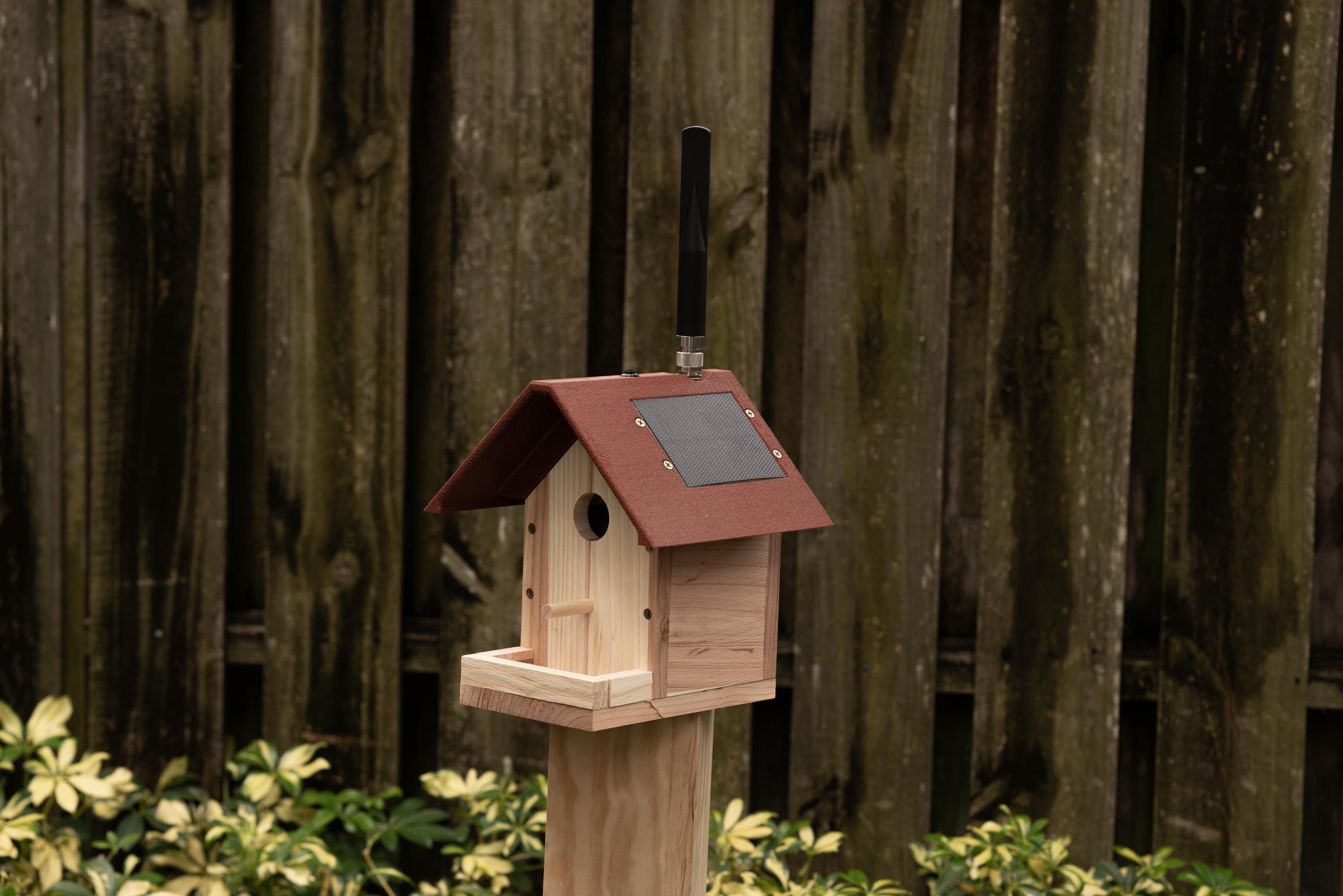 Peakmesh Birdhouse Solar Meshtastic Radio Node RAK Wireless Module ...
