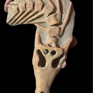 Handmade Crocodile Skull with Neck Vertebrae – Unique Fossil-Inspired Decor.