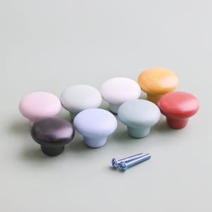 Op de afbeelding: Een verzameling van acht kleurrijke kastknoppen in verschillende pastelkleuren, waaronder roze, blauw, groen, geel en rood. Twee zilveren schroeven zijn inbegrepen. Deze knoppen zijn ideaal om een vleugje kleur toe te voegen aan meubels of kasten.