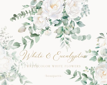 Könnte beinhalten: Aquarell-Illustration eines Straußes weißer Rosen und Eukalyptusblätter. Der Text "White & Eucalyptus" und "Watercolor White Flowers -bouquets- " ist in goldener Schrift geschrieben.