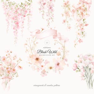 Blush Wild, set floreale ad acquerello, composizioni di fiori selvatici blush, motivi senza soluzione di continuità rosa cipria, clipart di civetta rosa, clipart di matrimonio