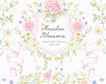 Meadow Blooms Watercolor Floral Clipart: Pastel Flowers, Bouquets, Frames (66 Images)