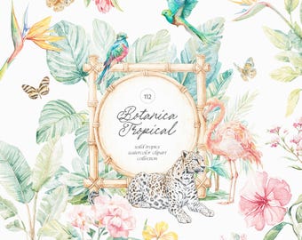 Tropical Watercolor Clipart Collection - Flora and Fauna